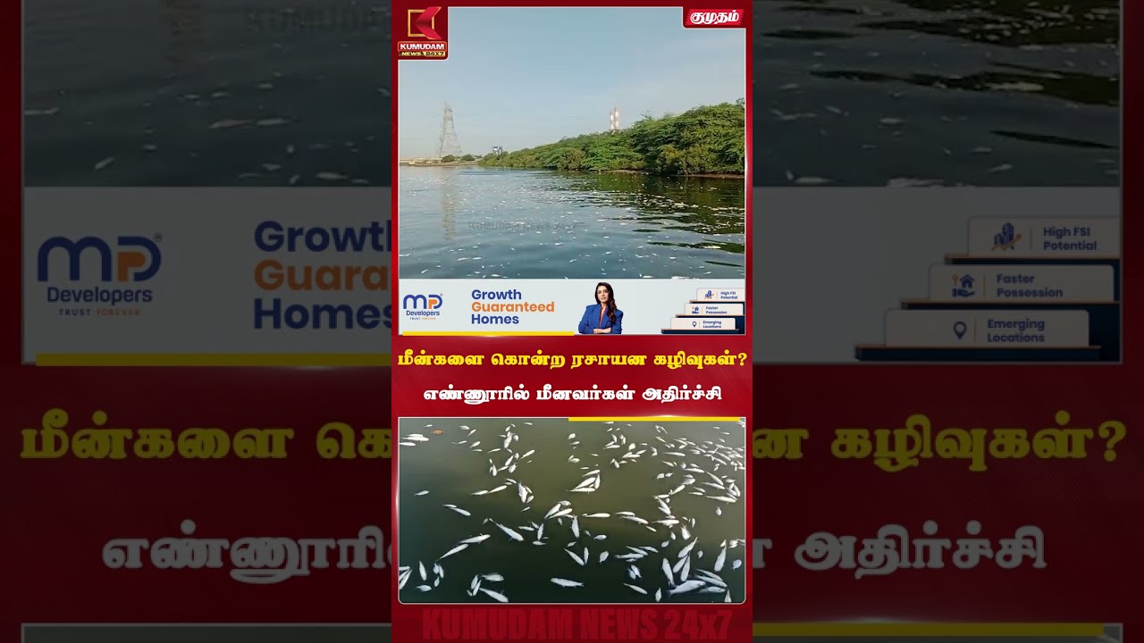 மீன்களை கொன்ற ரசாயன கழிவுகள்? எண்ணூரில் மீனவர்கள் அதிர்ச்சி | Ennore | WaterPollution | Kumudam News