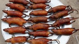 RATAS ASADAS Y FRITAS.  Un regalo de Vietnam, China, Tailandia y Laos