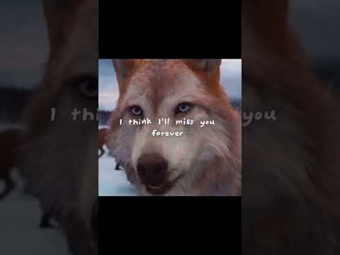 This scene 💔 #twilight #sad #scene #movie #moments #wolf #vampire #sadmoment