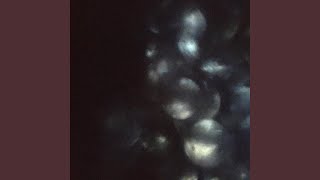 Dawnfades Music Video