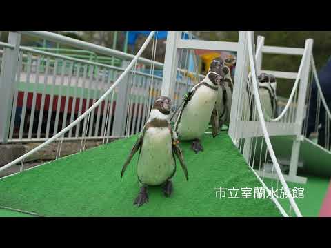 【室蘭港PR動画03】あっと！魅惑の室蘭