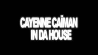 CAYENNE CAÏMAN SO BRIGHT
