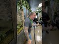 Snake Catches Food In Mid Air