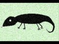 Kokopelli's Dance.wmv