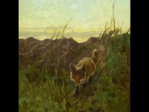 Tµmmetott - Der Fuchs Kommt