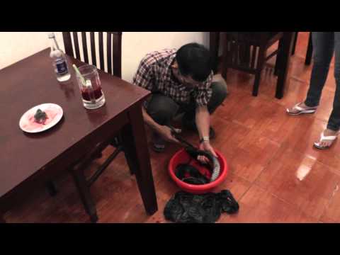 Вьетнам на вкус.Кобра на ужин