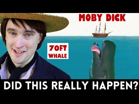 What HUGE Whales Inspired Moby Dick? The True Story Of The Essex and Mocha Dick