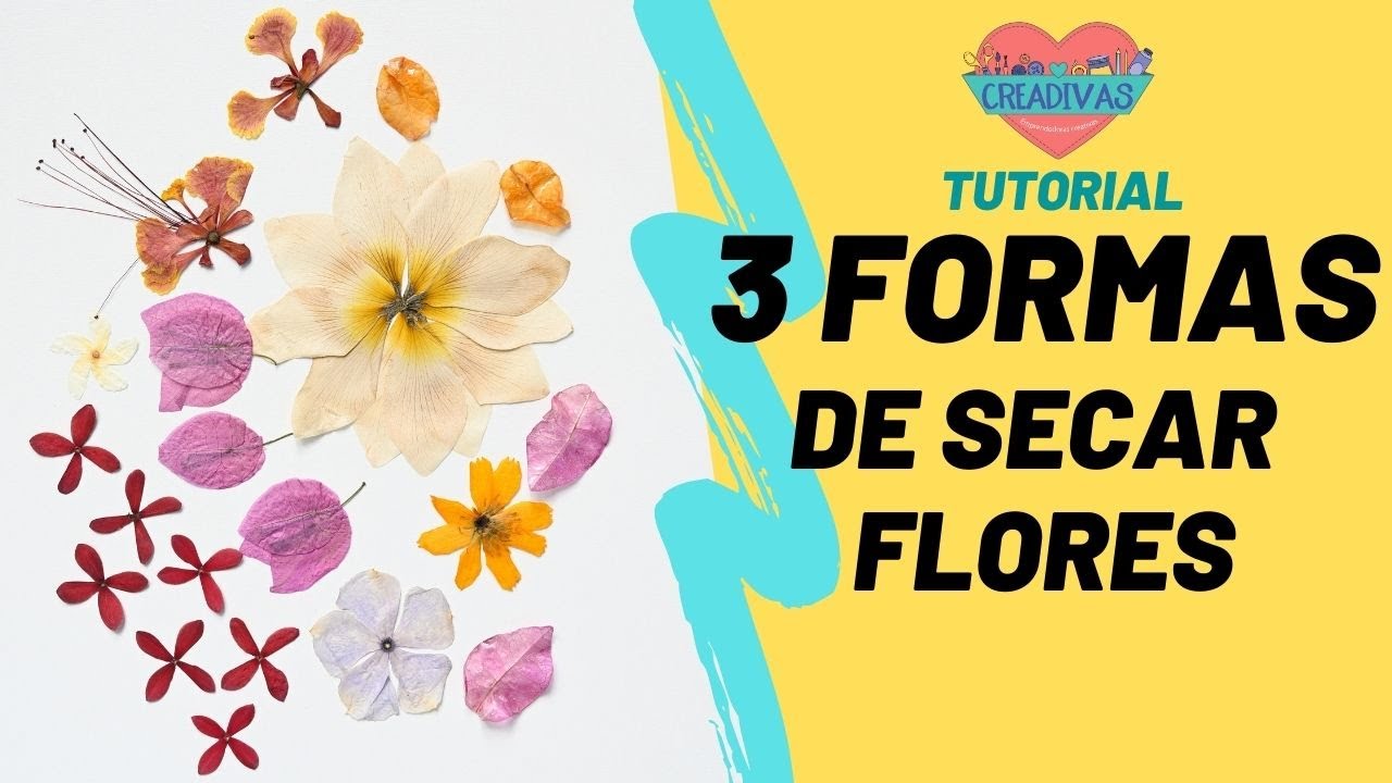 3 Formas de Secar Flores para arte con resina. Super fácil tutorial para hacer tus propias flores