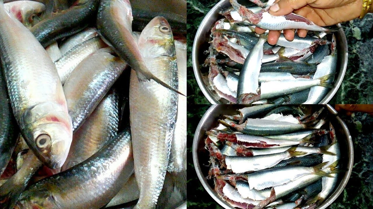 மத்தி மீன் சுத்தம் செய்வது எப்படி|How To Clean Mathi Fish |How To Clean Sardine