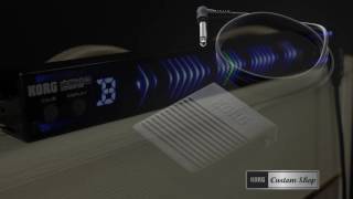 Korg PitchBlack PB05 - Video