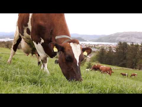 Sørmarka Landskaper KUER  Stavanger May 2014