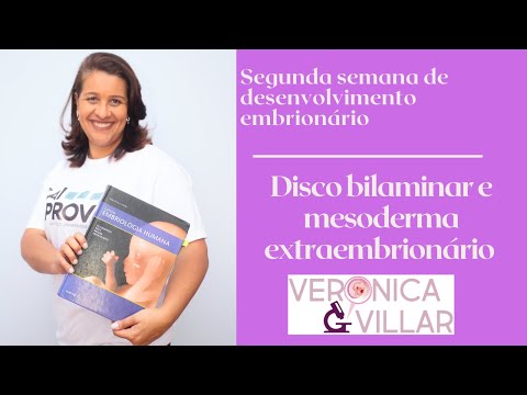 Segunda semana de desenvolvimento embrionário. Disco bilaminar e mesoderma extraembrionário.