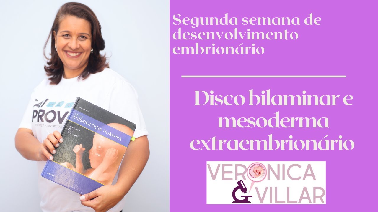 Segunda semana de desenvolvimento embrionário. Disco bilaminar e mesoderma extraembrionário.