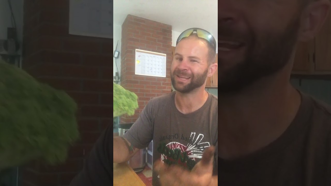 2021 summer Csa week 6 unboxing