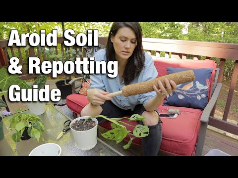 Making Aroid Soil & Repotting - Monstera, Alocasia, & Philodendron - Repotting 101