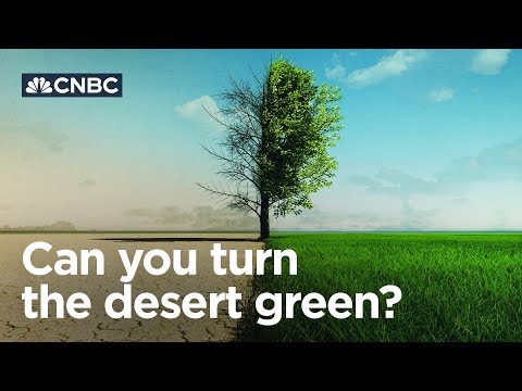 How the UAE is turning its desert green（How the UAE is turning its desert green）