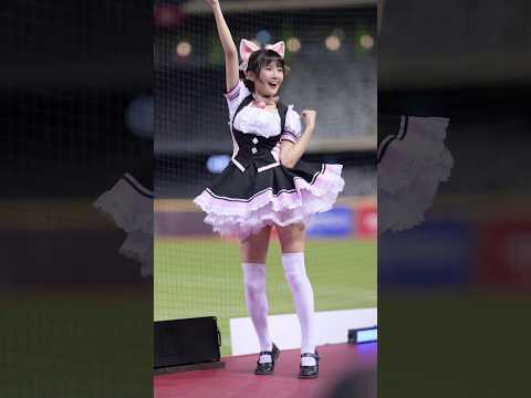  沈珈妤，大巨蛋主場 中場表演 獸耳女僕 #cheerleader #台湾チア #rakutengirls #樂天女孩 