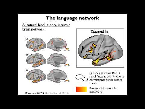 Innovators in Cog Neuro - Ev Fedorenko (12/1/2021)