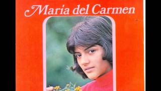Maria del Carmen-   Errores y defectos