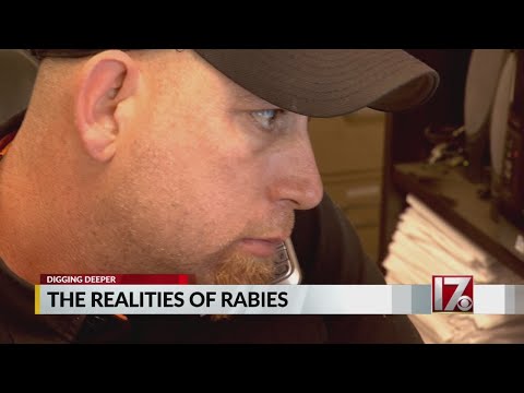 Hefty price: Human rabies treatment can come with crippling debt