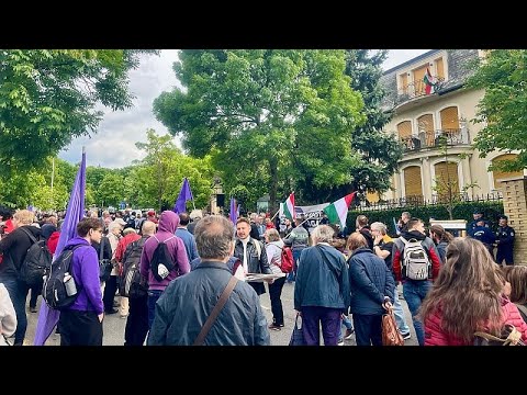 Video Thumbnail: Menschen protestierten gegen Orbans "Transparenzgesetz" nach russischem Vorbild