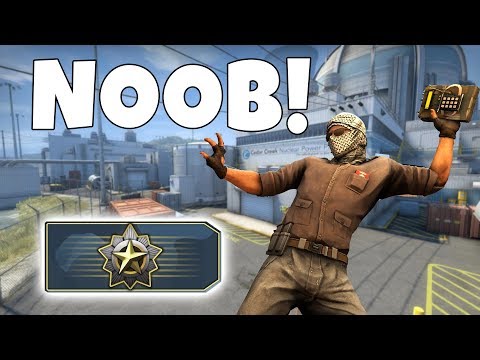 NOOB RETURNS TO CS:GO AND GETS ROASTED! 😂
