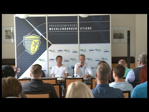 Offensive Saisonziele bei den Mecklenburger Stieren