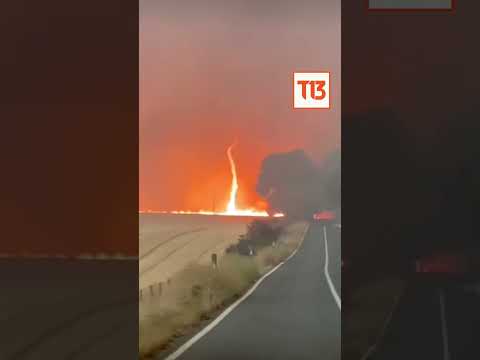 Remolino de fuego en medio de incendio forestal en El Carmen #Shorts