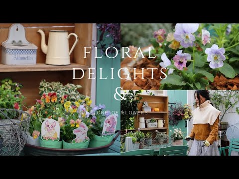 セアノサスを地面に植える方法