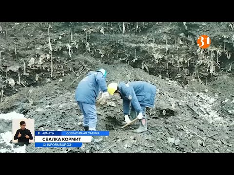 Информбюроның 15.02.2021 күнгі толық шығарылымы