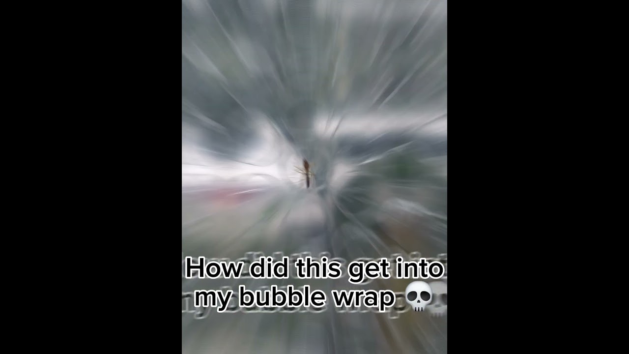 NOOO MY BUBBLE WRAP #memes #funny