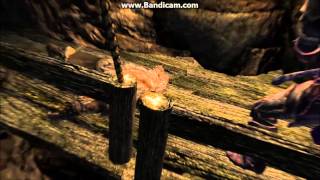 Skyrim: With and Without ASIS