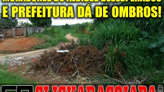 preview picture of video 'Bairro Alcides Vieira Sofre com matagal.'