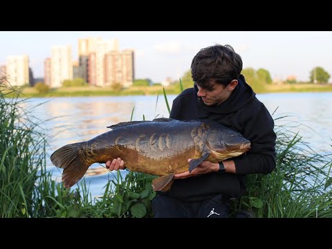 HOW to catch BIG OLD CARP - Walthamstow reservoirs