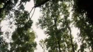 Inside Björk part VI