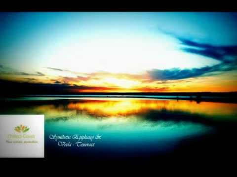 Synthetic Epiphany & Veela - Tesseract