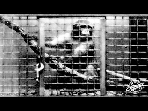 Στίχοιμα - Θέση Κενή - Official Audio Release