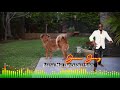 Beenie Man Wickedest Slam