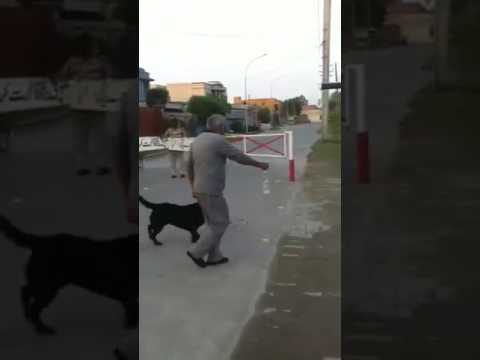 Hollywood saloon faisalabad