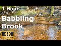 One Hour of Babbling Brook - Devil's Head Lookout Trail - sounds to Calm Your Mind, with 4K Ultra HD