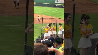 【Passion Sisters】#瑄 #衣宸 #芊芊 #儀諪 ドミニカVS中信兄弟@桃園棒球場 20241110 #台湾チア #cheerdance #cheerleading