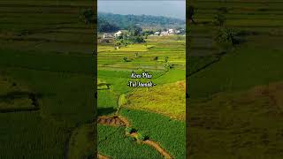 Download lagu Koes Plus - Tul Jaenak #nostalgia #jadul #lagu #koesplus #evergreenhits #kenangan #fypシ゚viral #fyp mp3