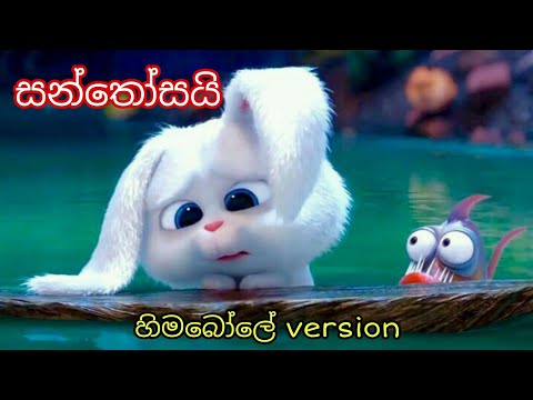 Santhosai සන්තෝසයි | Udara Kawshalya new song Hima Bole version