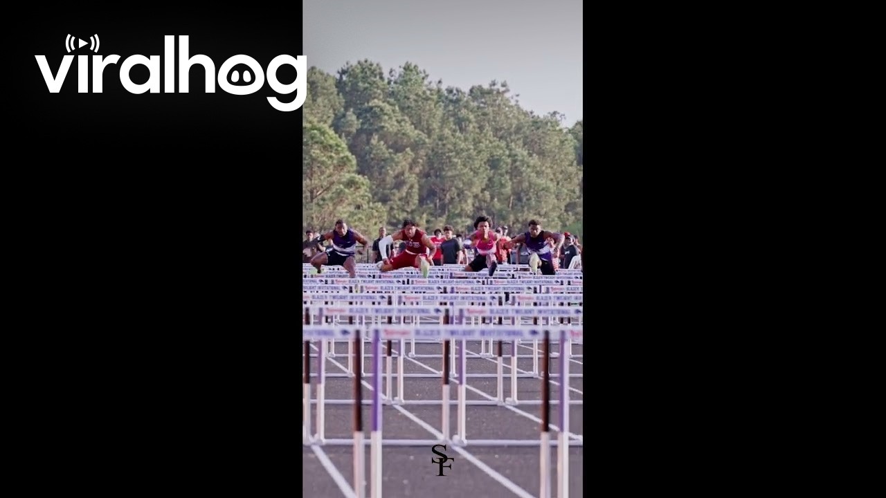 110M Hurdles Chaos || ViralHog