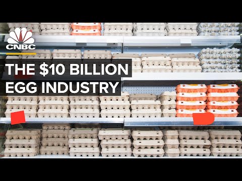 Who Makes Money From Eggs