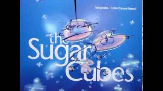 08 Planet / The Sugarcubes - The Great Crossover Potential