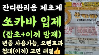 잔디관리용 제초제 쏘카바입제