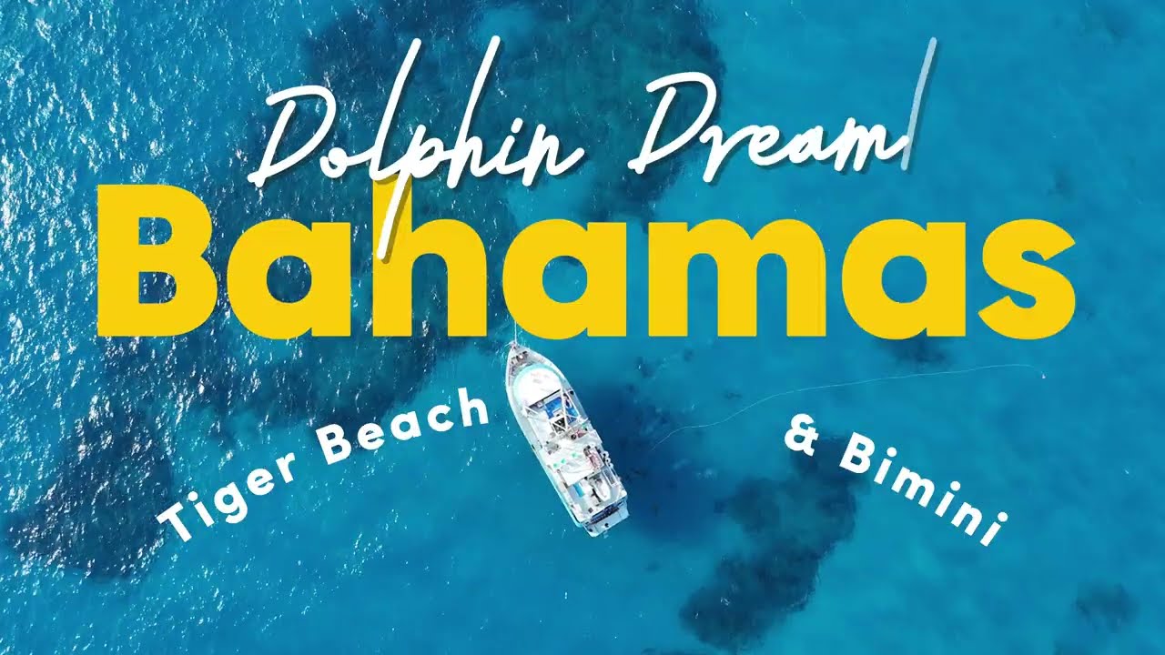 Thumbnail for the Scuba Sam tiger shark diving film.