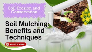 Soil Mulching Benefits &amp; Techniques | Boost Crop Health | Spring Scientific 🌱