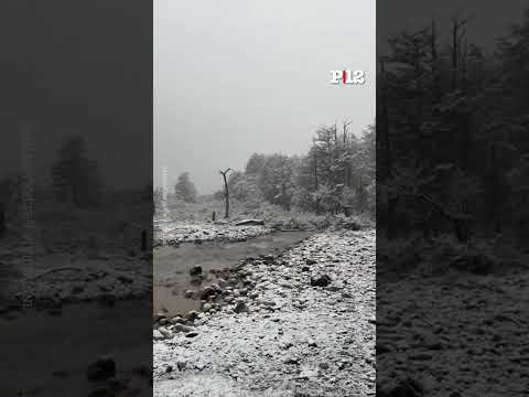 ❄ Las imágenes de la sorpresiva nevada en Bariloche y El Bolsón